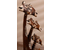 Сувенир деревянный «Сима-Ленд», 50*17*6 см, «Три кота с бакенбардами»