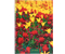 Тетрадь общая А4, 80 л. на гребне «Цветы», 200*285 мм, клетка, «Краски лета»