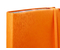 Ежедневник недатированный Berlingo Spring (А6), 122*183 мм, 160 л., оранжевый