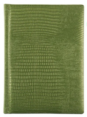 Ежедневник недатированный Sigrid 145×200 мм, 160 л., зеленый перламутр