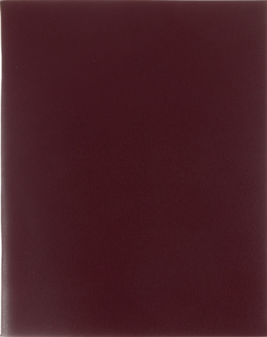 Тетрадь общая А5, 96 л. на скобе Lite 160×200 мм, клетка, бордовая