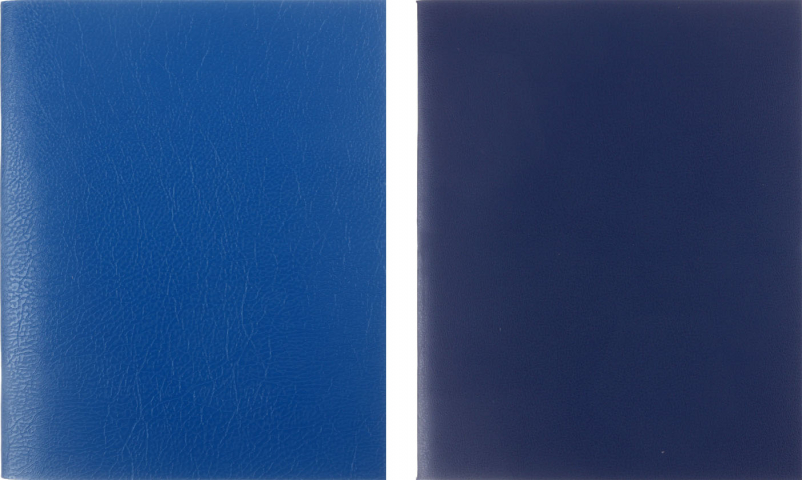 Тетрадь общая А5, 96 л. на скобе BG 160×202 мм, клетка, синяя