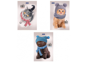 Блокнот на склейке Hatber «Кототерапия» (А6), 110×145 мм, 40 л., клетка, ассорти Блокнот на склейке Hatber «Кототерапия» (А6), 110×145 мм, 40 л., клетка, ассорти