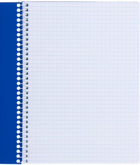 Книжка записная на спирали Economix , 145*200 мм, 80 л., клетка, синий Книжка записная на спирали Economix , 145*200 мм, 80 л., клетка, синий
