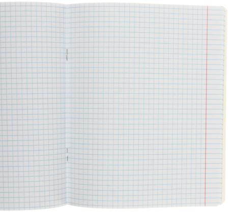 Тетрадь общая А5, 48 л. на скобе «Лаймовое настроение», 162*200 мм, клетка, ассорти