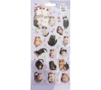 Наклейки гелевые Meshu, 10×23 см, 38 шт., Cute Cat