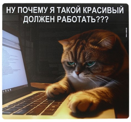 Коврик для мыши Sima-Land, 22*20 см, «Красивые тоже работают»