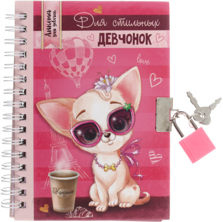 Записная книжка «Анкета для стильных девчонок», 105*145 мм, 40 л., линия Записная книжка «Анкета для стильных девчонок», 105*145 мм, 40 л., линия