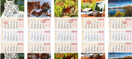 Календарь настенный трехрядный на 2022 год «Типография Победа» , ассорти