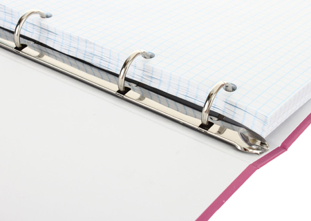 Тетрадь общая А5, 80 л. на кольцах Prof-Press, 165*215 мм, клетка, «Кеды и цветы» Тетрадь общая А5, 80 л. на кольцах Prof-Press, 165*215 мм, клетка, «Кеды и цветы»