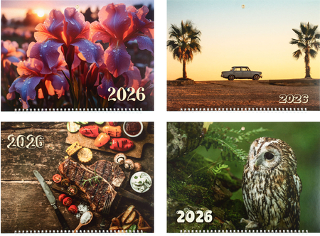 Календарь настенный квартальный на 2026 год, ассорти Календарь настенный квартальный на 2026 год, ассорти