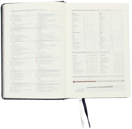 Ежедневник датированный на 2026 год Berlingo Silver Pristine, 145*215 мм, 184 л., синий Ежедневник датированный на 2026 год Berlingo Silver Pristine, 145*215 мм, 184 л., синий