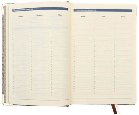 Ежедневник датированный Business Prestige