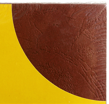 Обложки для переплета картонные Delta, А4, 100 шт., 230 г/м2, бордовые, тиснение «под кожу»