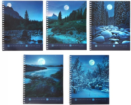 Тетрадь общая А5, 96 л. на гребне «Вечерние пейзажи», 165*200 мм, клетка, ассорти
