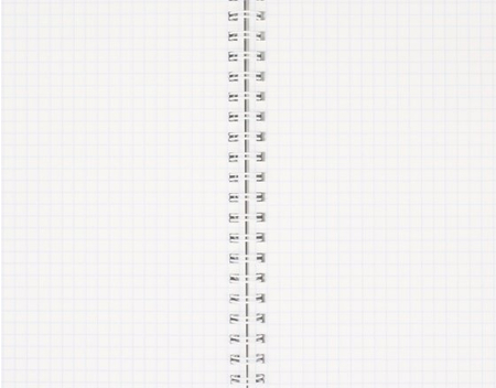 Тетрадь общая А4, 96 л. на гребне «Утренняя роса», 205*295 мм, клетка 