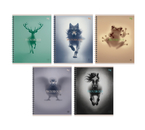 Тетрадь общая А5, 60 л. на гребне BG Phenomenon, 160×205 мм, клетка, ассорти