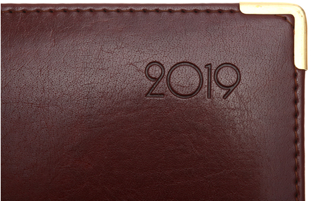 Ежедневник датированный на 2019 год Status