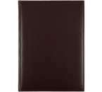 Ежедневник датированный на 2026 год «Каньон» (А4), 200×270 мм, 176 л., бордовый