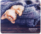 Коврик для мыши Sonnen, 220*180*3 мм, Kitten