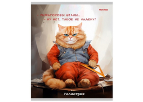 Тетрадь предметная А5, 48 л. на скобе «Жил-был кот», 170×207 мм, клетка, «Геометрия»