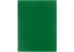 Папка пластиковая на 100 файлов «Стамм», толщина пластика 0,6 мм, зеленая