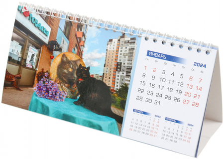 Календарь настольный перекидной на 2024 год «Домик. Котовасия», 210*135 мм, «Негро»