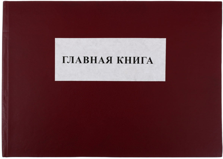 Главная книга, 210*302 мм, 100 л. 