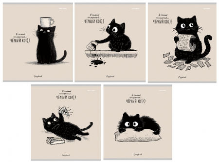 Тетрадь общая А5, 48 л. на скобе «Послушный черный кот», 165*205 мм, клетка, ассорти