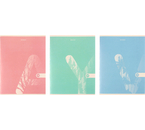 Тетрадь общая А4, 48 л. на скобе Pastel, 205×270 мм, клетка, ассорти