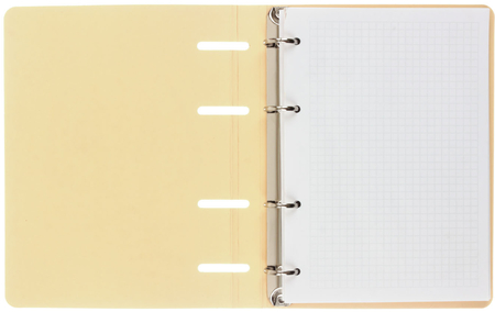 Тетрадь общая А5, 100 л. на кольцах Cute&Funny, 165*210 мм, клетка, «Дизайн 9»