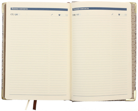 Ежедневник датированный Business Prestige