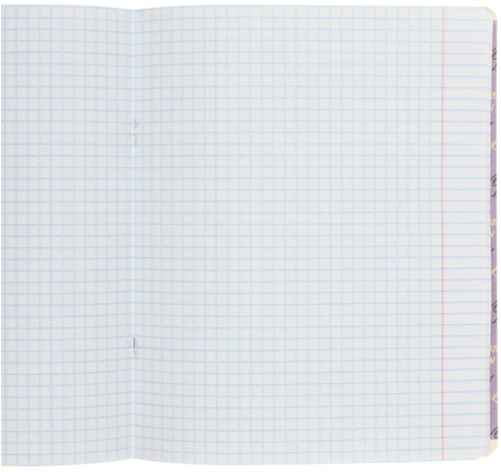 Тетрадь общая А5, 48 л. на скобе «Котомания», 162*200 мм, клетка, ассорти