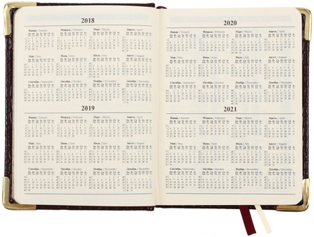 Ежедневник датированный на 2018 год Business Prestige, 110*145 мм, 176 л., Iguana, бордовый