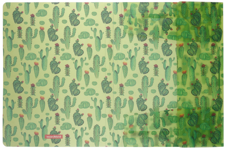 Папка пластиковая на резинке ErichKrause (с рисунком), толщина пластика 0,55 мм, Tropical Cactus Папка пластиковая на резинке ErichKrause (с рисунком), толщина пластика 0,55 мм, Tropical Cactus