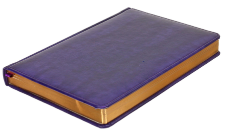 Ежедневник недатированный Berlingo xGold, 143*210 мм, 160 л., фиолетовый Ежедневник недатированный Berlingo xGold, 143*210 мм, 160 л., фиолетовый