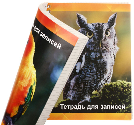 Тетрадь общая двойная А5, 80 л. на гребне «Типография «Победа», 145*200 мм, клетка