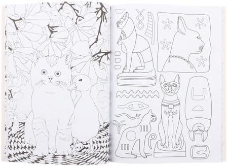 Раскраска-антистресс «Кототерапия», 210*280 мм, 64 л.