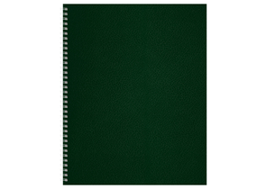 Тетрадь общая А4, 96 л. на гребне BG, 200×270 мм, клетка, зеленая