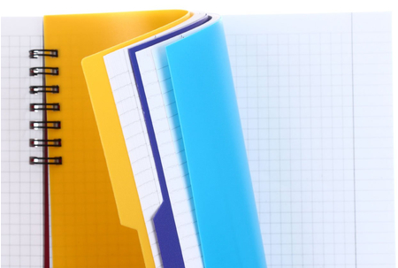 Книжка записная на гребне с разделителями Economix, 160*205 мм, 120 л., клетка, ассорти (цена за 1 шт.)