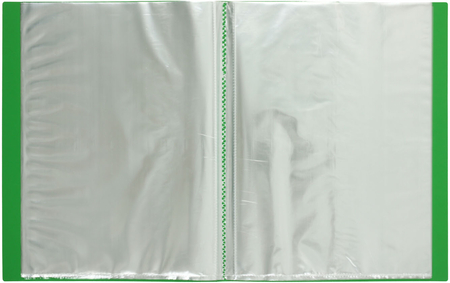 Папка пластиковая на 30 файлов Berlingo Standart, толщина пластика 0,6 мм, зеленая