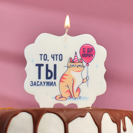 Свеча для торта «То, что ты заслужил. Кот с шариком», 10*10 см