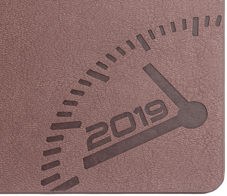 Ежедневник датированный на 2019 год «Феникс», 126*174 мм, 176 л., мокко