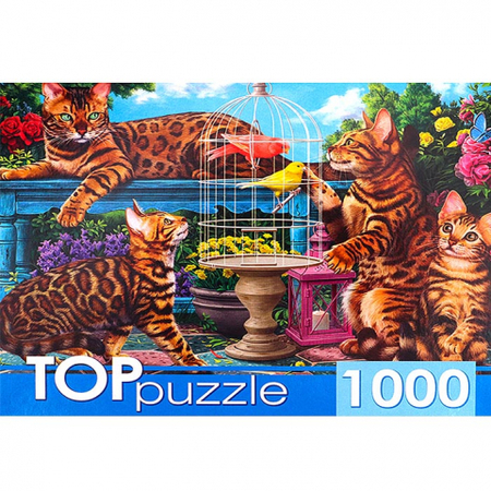 Пазлы TopPuzzle, 1000 элементов, «Бенгальские коты в саду»