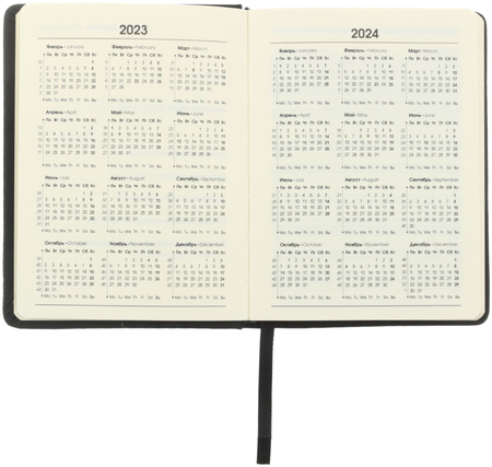 Ежедневник датированный на 2023 год Paragraph (А6), 110*145 мм, 176 л., черный