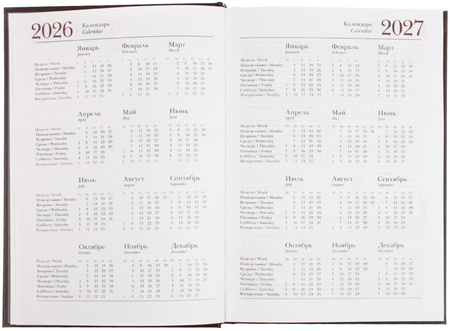 Ежедневник датированный на 2026 год Ideal New, 146*206 мм, 168 л., коричневый