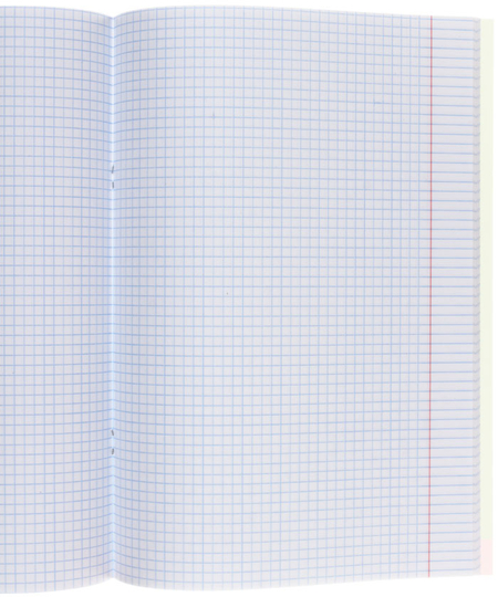 Тетрадь общая А4, 80 л. на скобе BG Monocolor. Chat, 205*297 мм, клетка, ассорти