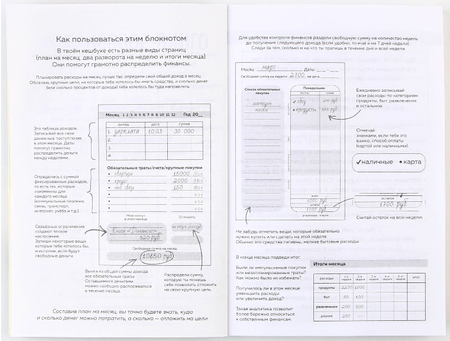 Книжка записная для планирования финансов Cashbook, 100*140 мм, 68 л., «Кот»