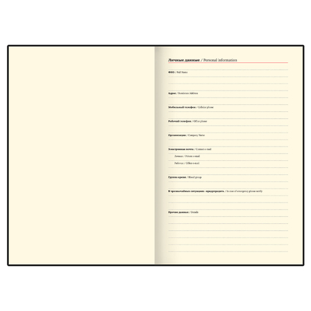 Ежедневник недатированный с ручкой Brauberg Style (в подарочной коробке), 145*210 мм, 160 л., зеленый