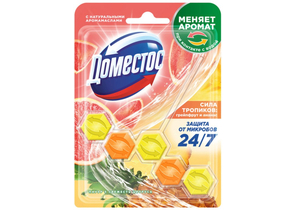 Блок для унитаза в пластиковом подвесе Domestos, 50 г, «Сила тропиков»